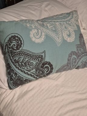 Source Unknown Blue Paisley Decorative Pillow with Brown and White Accents